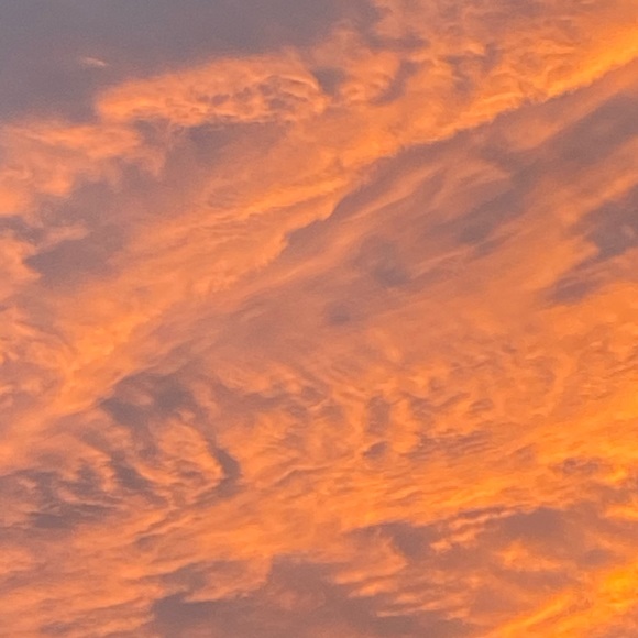 Meet your Posher, Maddie - Picture 1 of 1